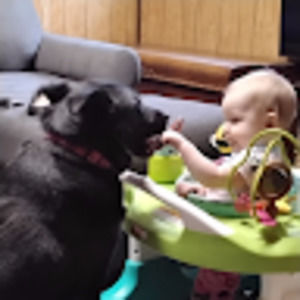 Meet your Posher, Jill